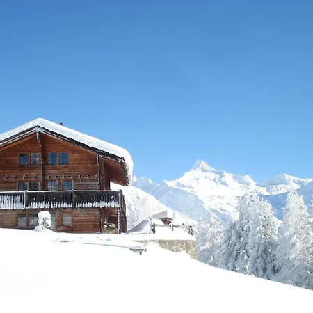 Apartamento Bergfriede